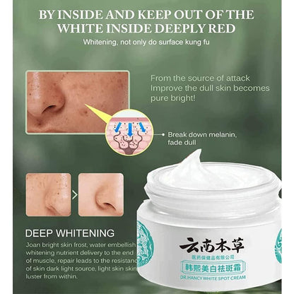 Japanese Melasma Cream - gearot